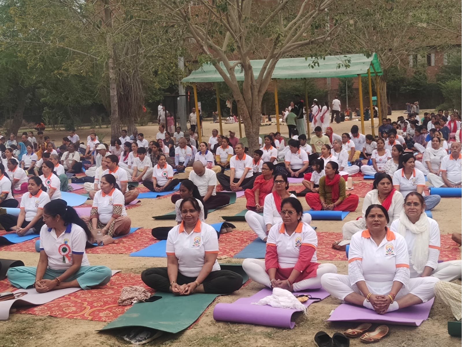 International Yoga Day Programme